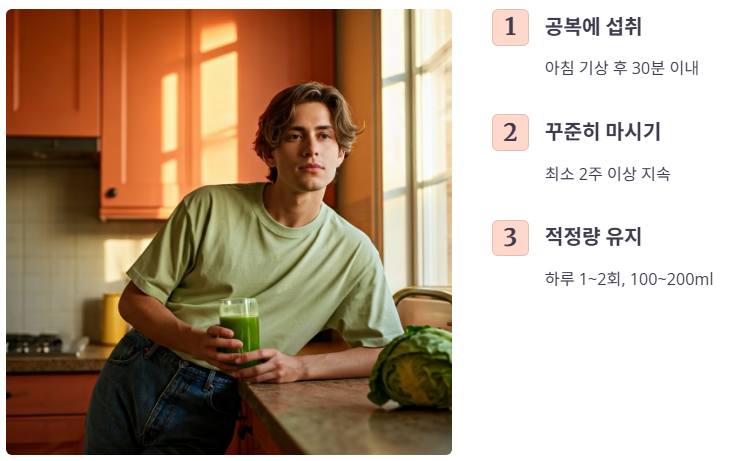 양배추즙 효과를 높이는 먹는법