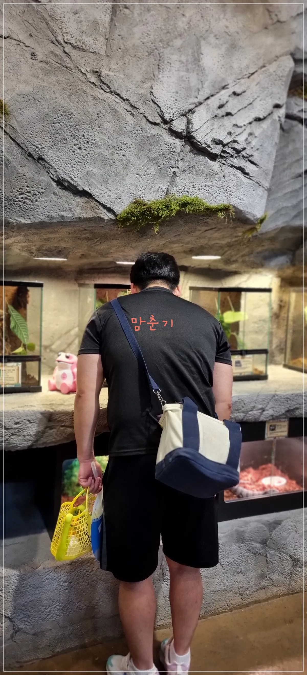 부산라라쥬동물원-파충류-구경중인-아기아빠