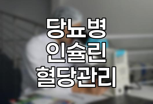 1형 당뇨병 vs 2형 당뇨병, 차이점, 완치 가능성, 혈당 관리 방법