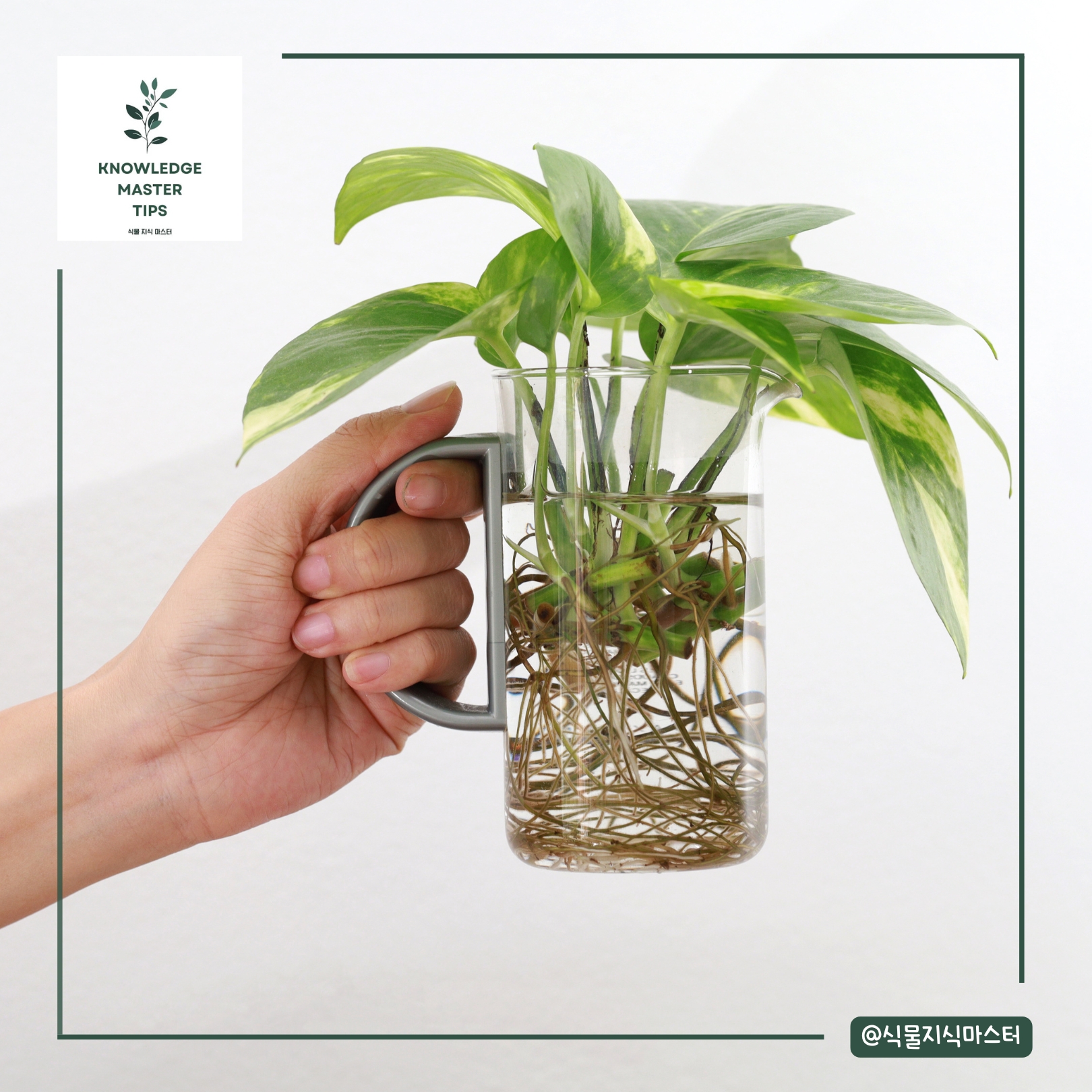 뿌리 문제: 보이지 않는 곳에서 일어나는 일