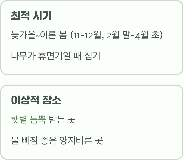 최고의 시기와 장소 고르기