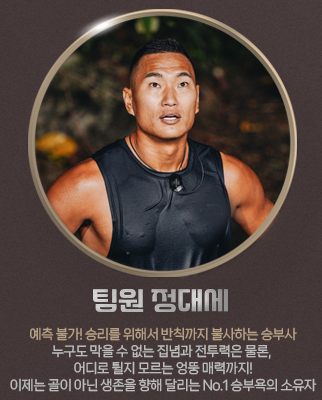 정대세