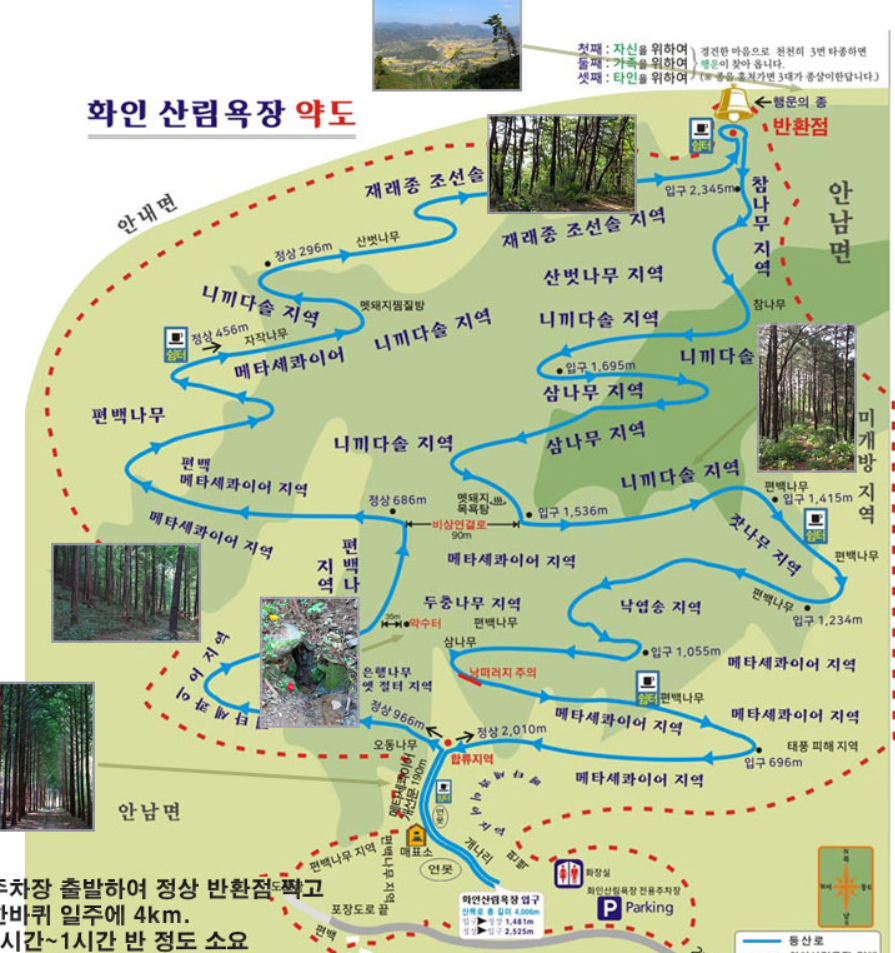 산책코스