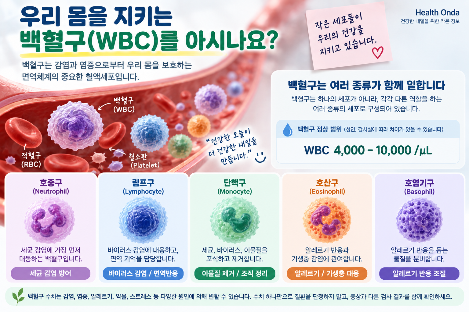 백혈구 종류와 면역 방어 역할을 설명하는 그림