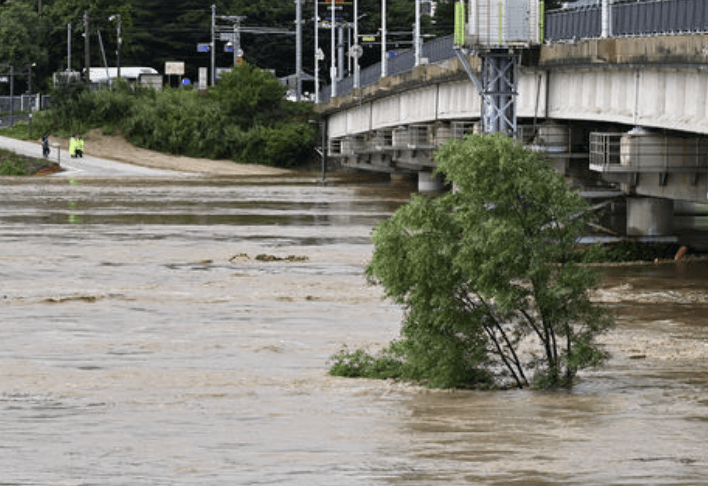 호우 피해 특별교부세