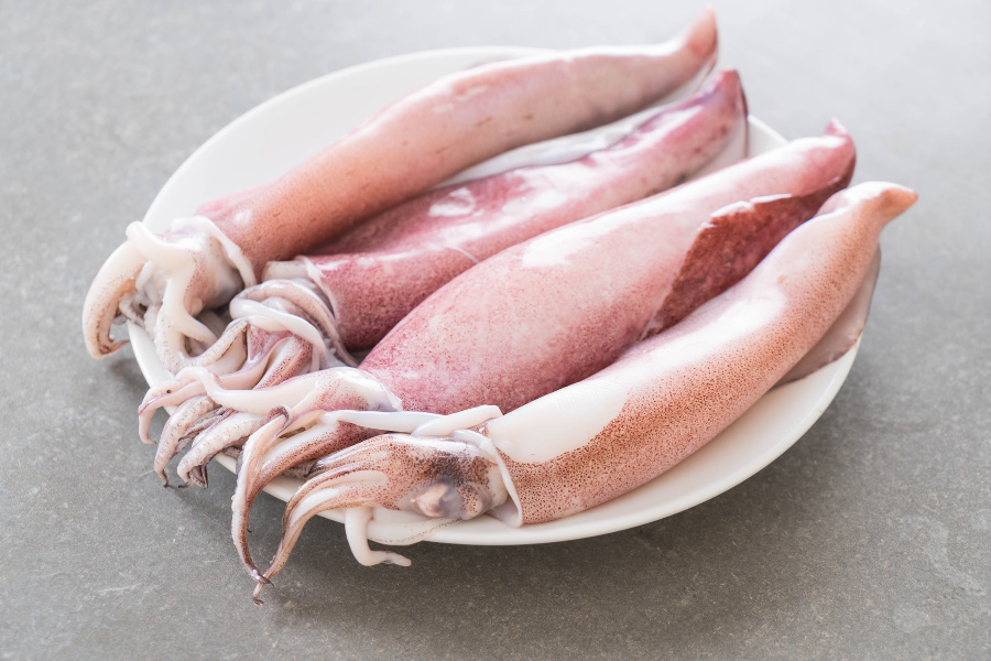 바다에서 채취를 한 오징어를 깨끗하게 세척하고 손질한 것을 바닥 위에 하얗고 동그란 접시 위에 4마리를 가지런하게 놓아두고 찍은 사진