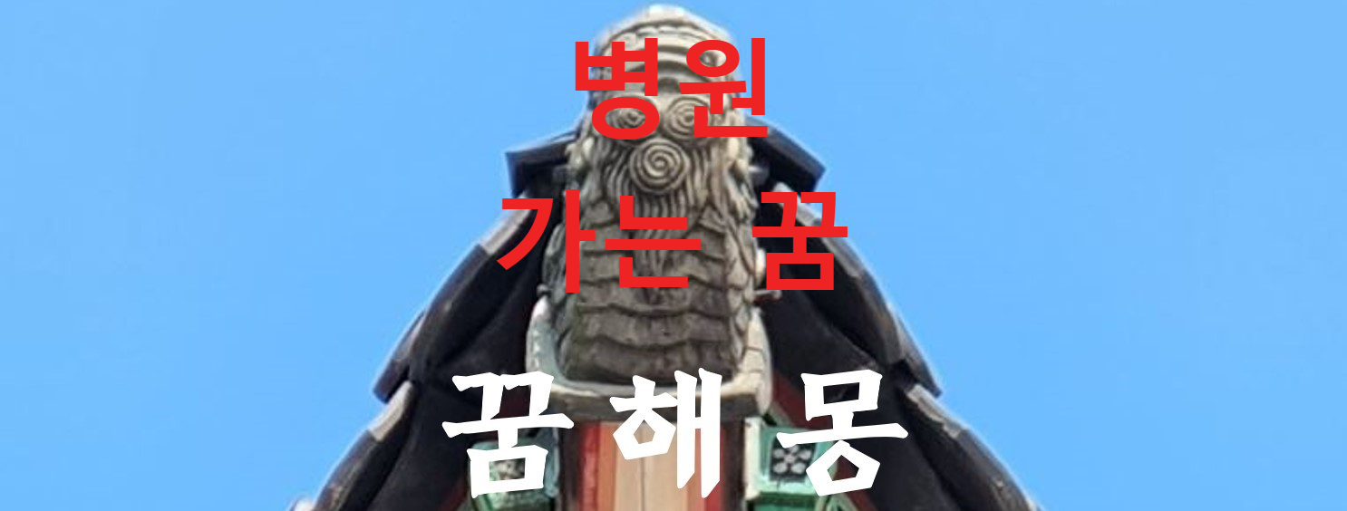 꿈해몽