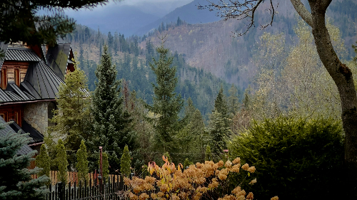 산림 바우처 홈페이지 