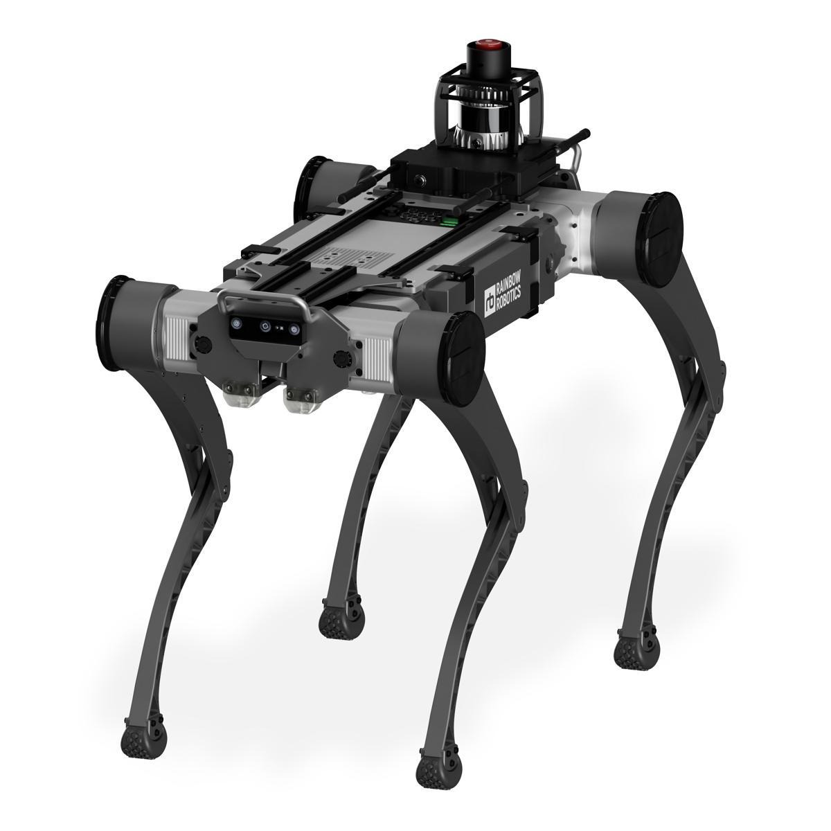 Rainbow Robotics