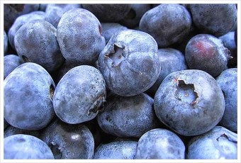 세계 10대 슈퍼푸드