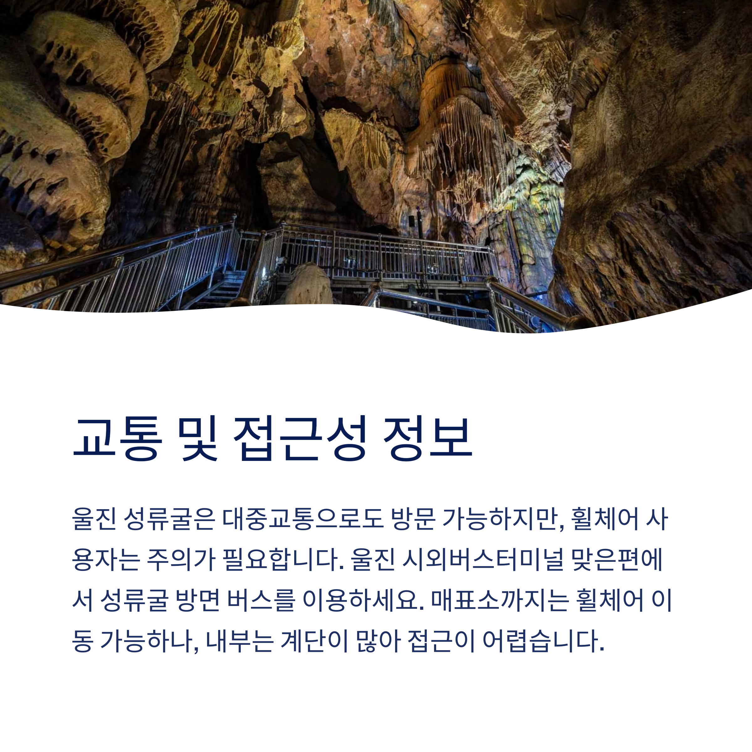 대중교통 및 접근성
