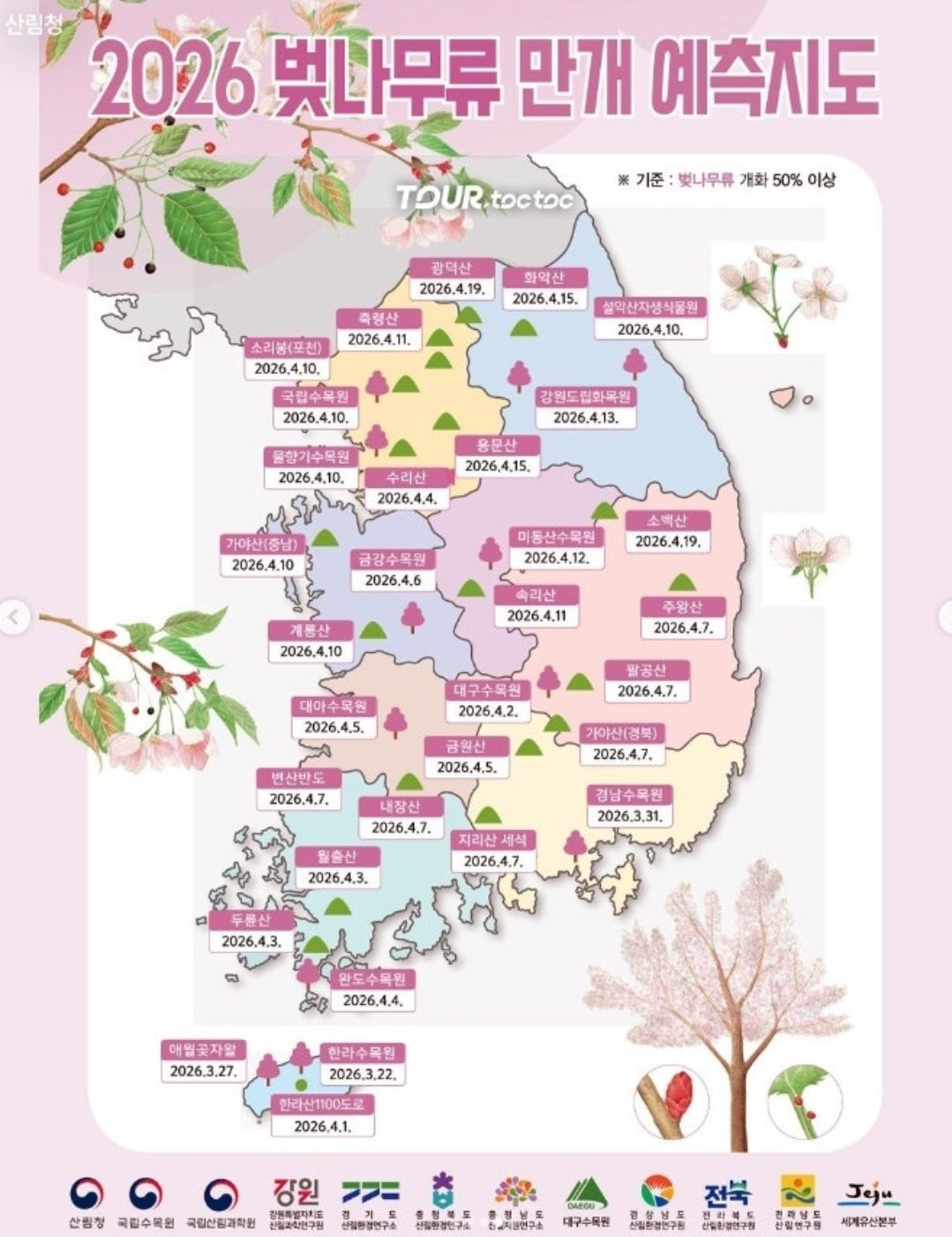 벚꽃 시즌별 추천 여행 루트