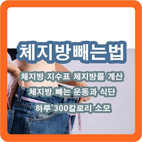 체지방-빼는법-운동-식단-체지방률-계산