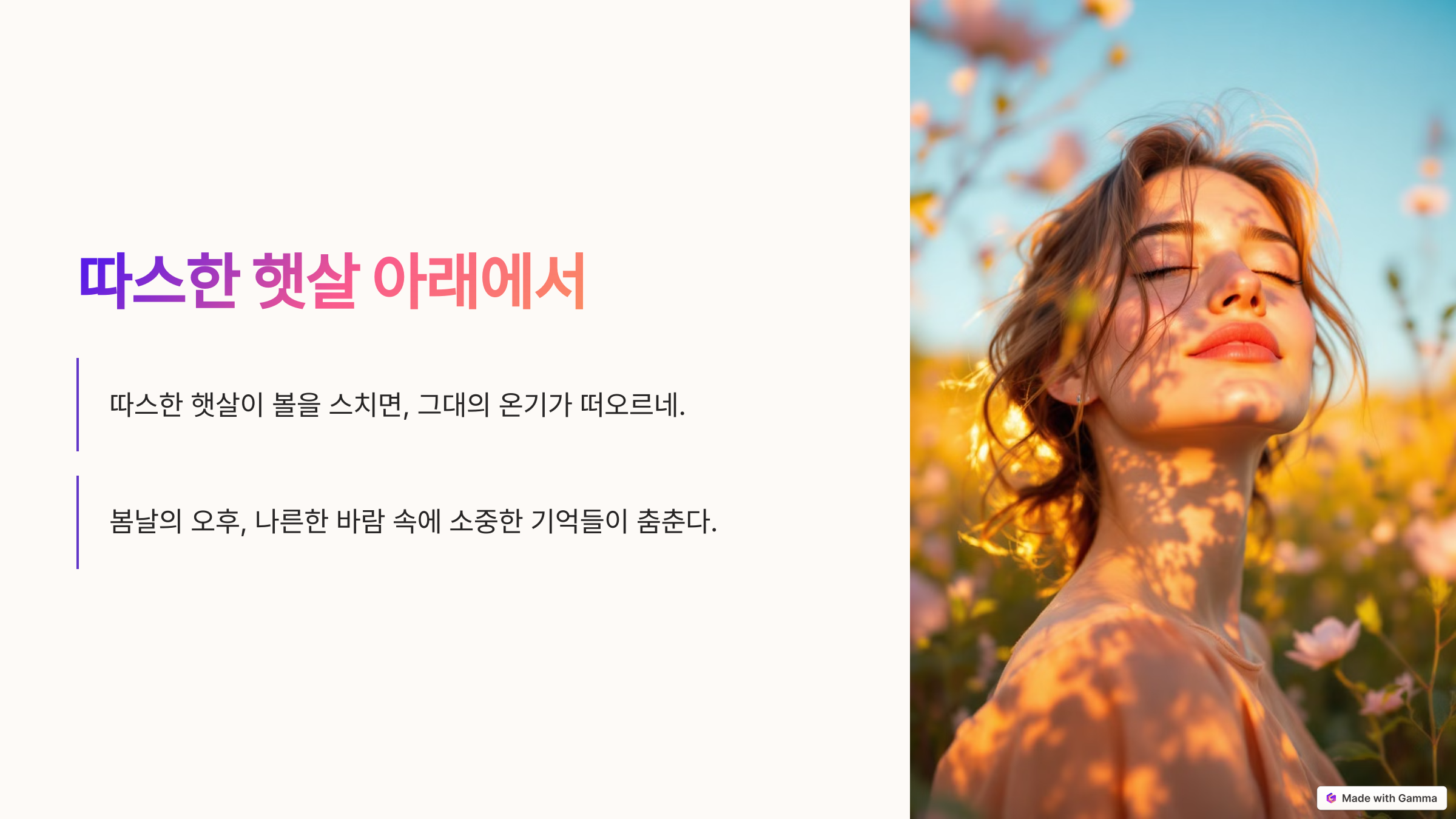 따스한 햇살 아래에서