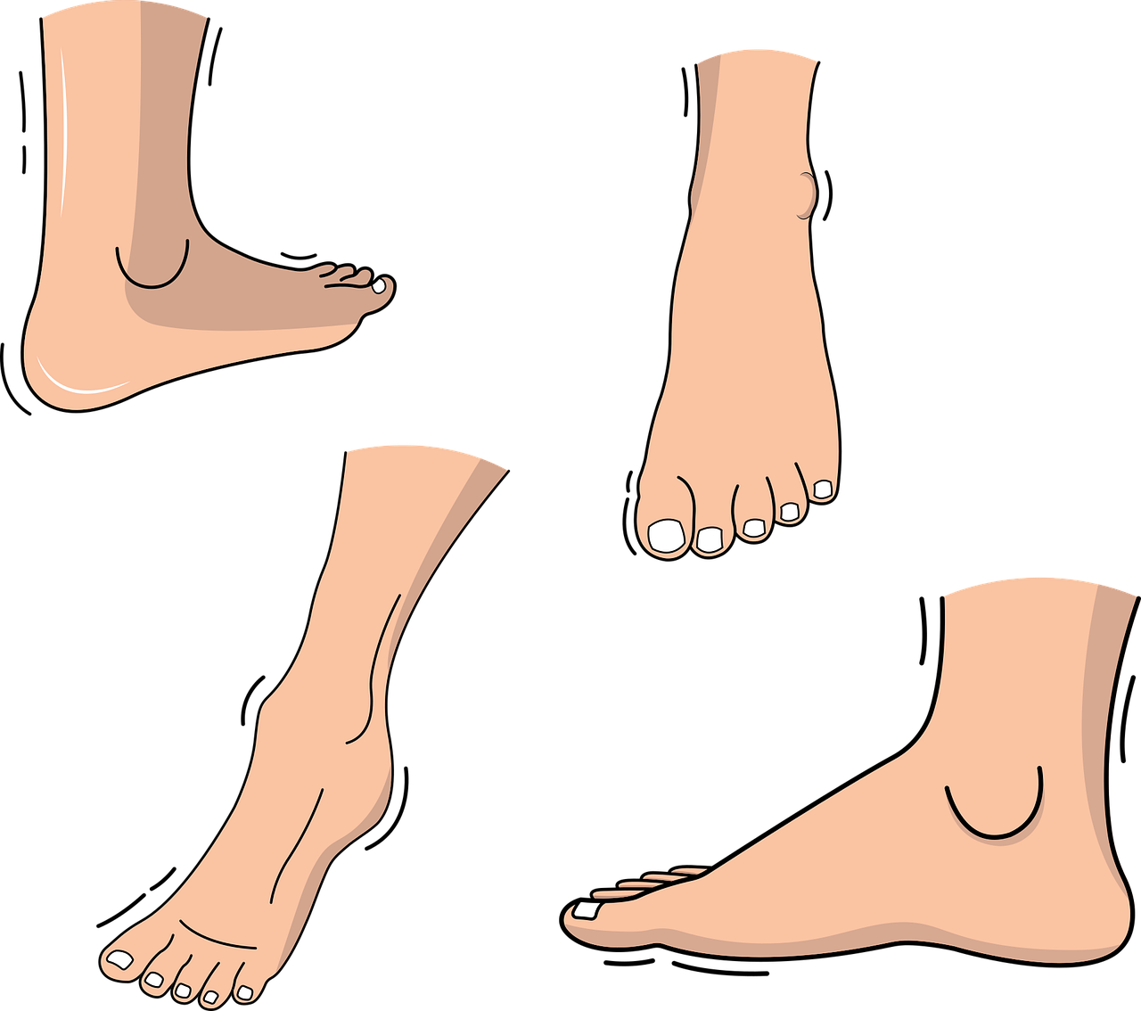 걷기 열풍 속 경고, 족저근막염 주의보(발, 원인과 증상, 예방과 치료) 와 관련사진