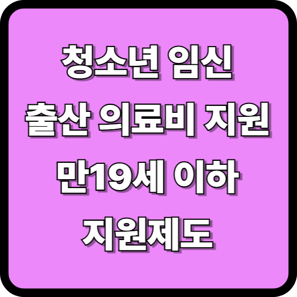 청소년 산모 의료비 지원- 만19세 이하 임신, 출산 지원 제도
