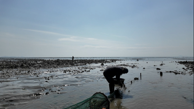 동네 한 바퀴 안산 나시고랭 이조 인도네시아 식당 위치 및 대부도 갓굴 고추장 칼국수, 독살 광어회 맛집 총정리