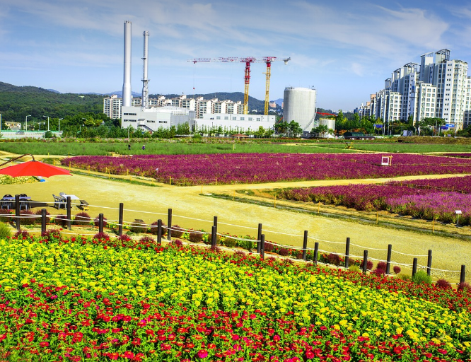 남양주-물의정원-꽃밭