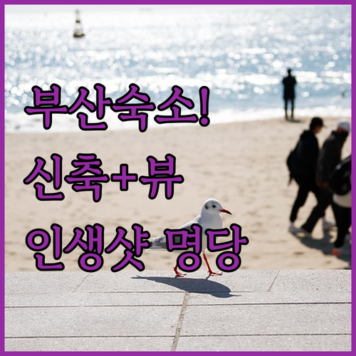 부산 여행 숙소 결정판 서면 신축 호..