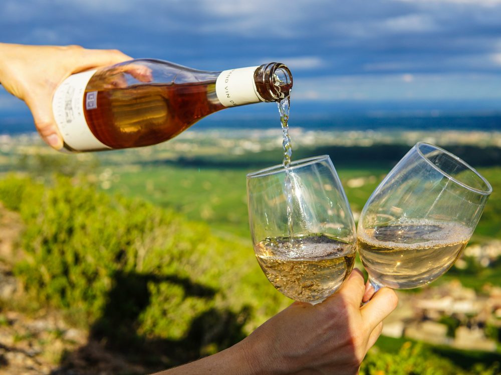 미국 로스앤젤레스(LA) 여행 추천 말리부 와인 하이크 Malibu Wine Hikes