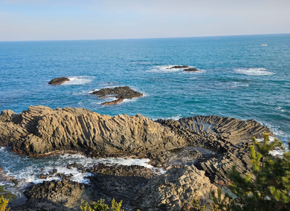 양남 주상절리 전망대1