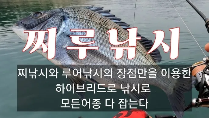 낚시 바다 방파제 시즌별 어종 미끼 채비 맞춤 가이드_1
