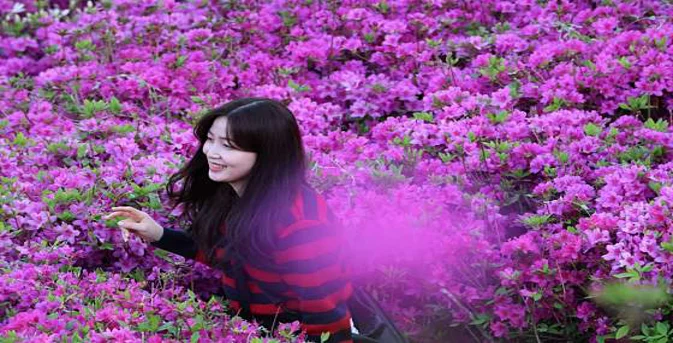 철쭉동산