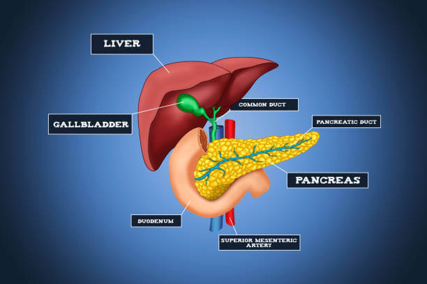 췌장암 의심증상 9가지