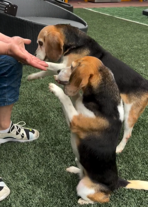 이태곤 결혼 여자친구