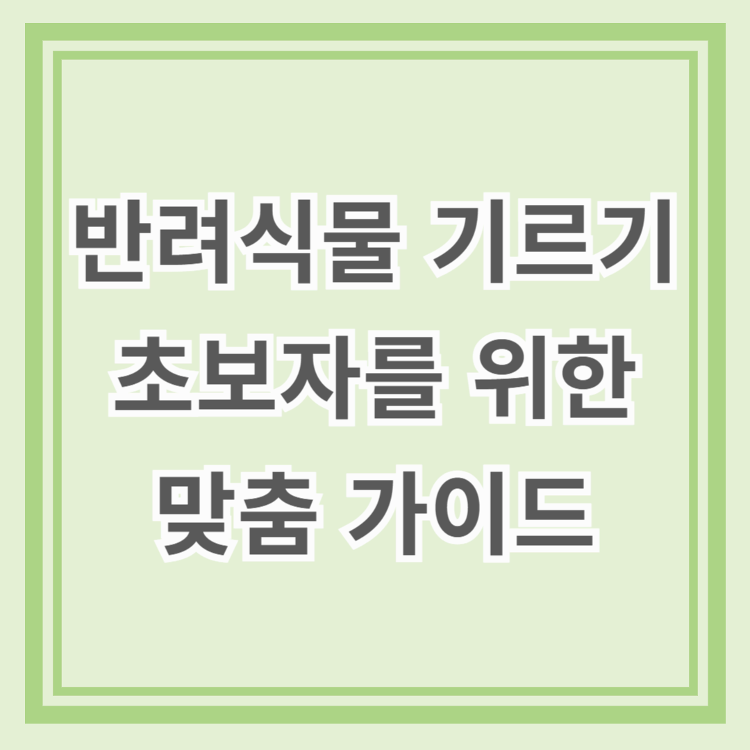 반려식물 기르기 초보자를 위한 맞춤 가이드