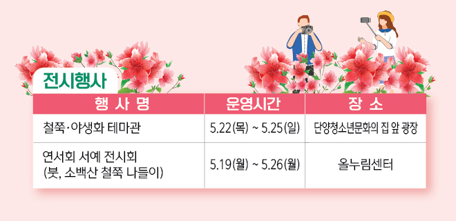 2025 단양 소백산 철쭉제: 봄의 절정을 만나는 시간