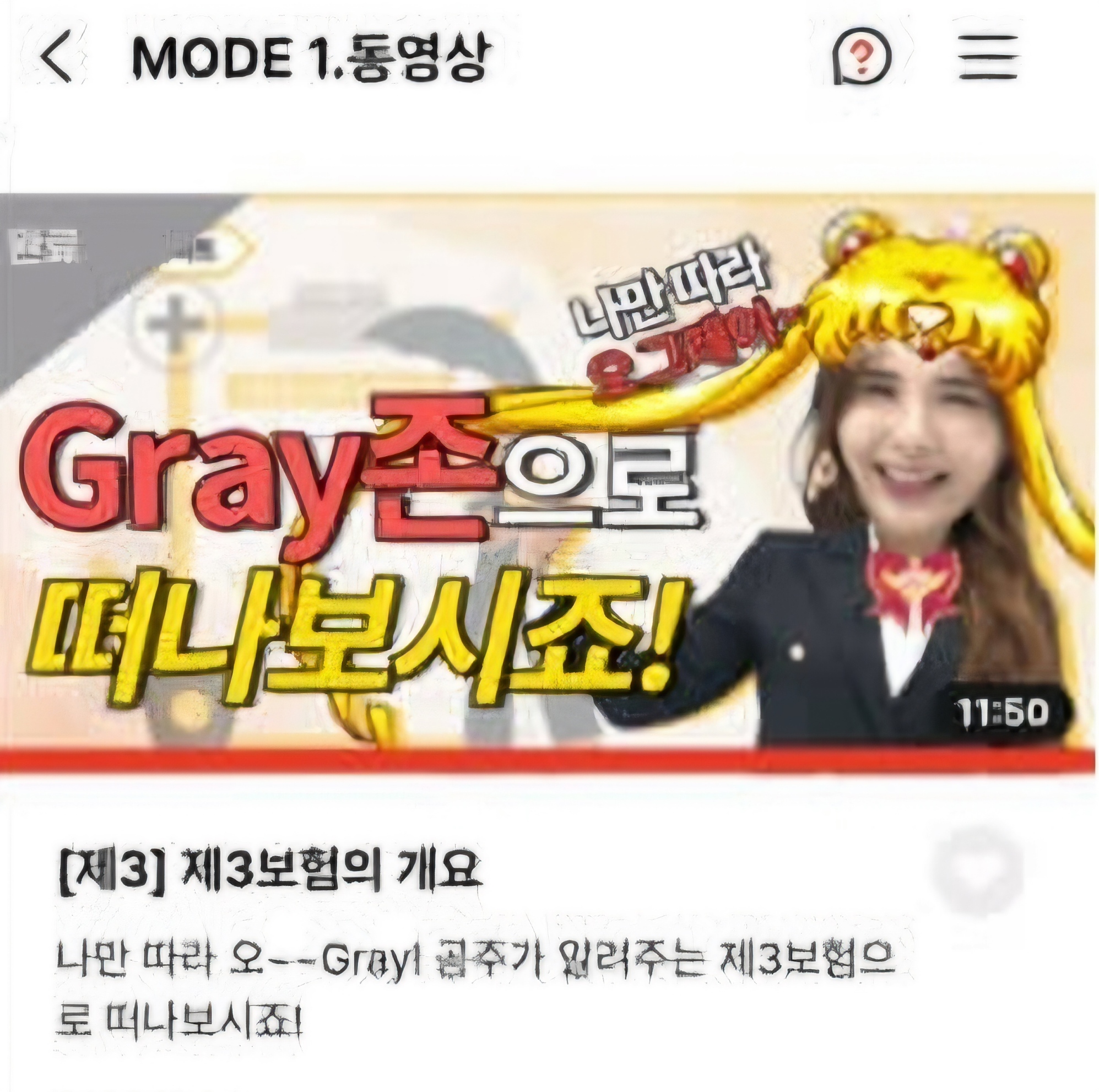 메리츠-파트너스-후기