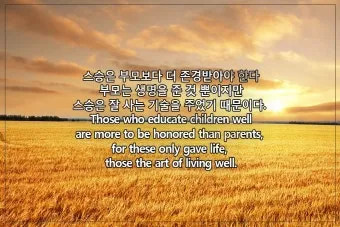 아리스토텔레스의 명언 인내는 쓰고 열매는 달다 실천적 의미_15