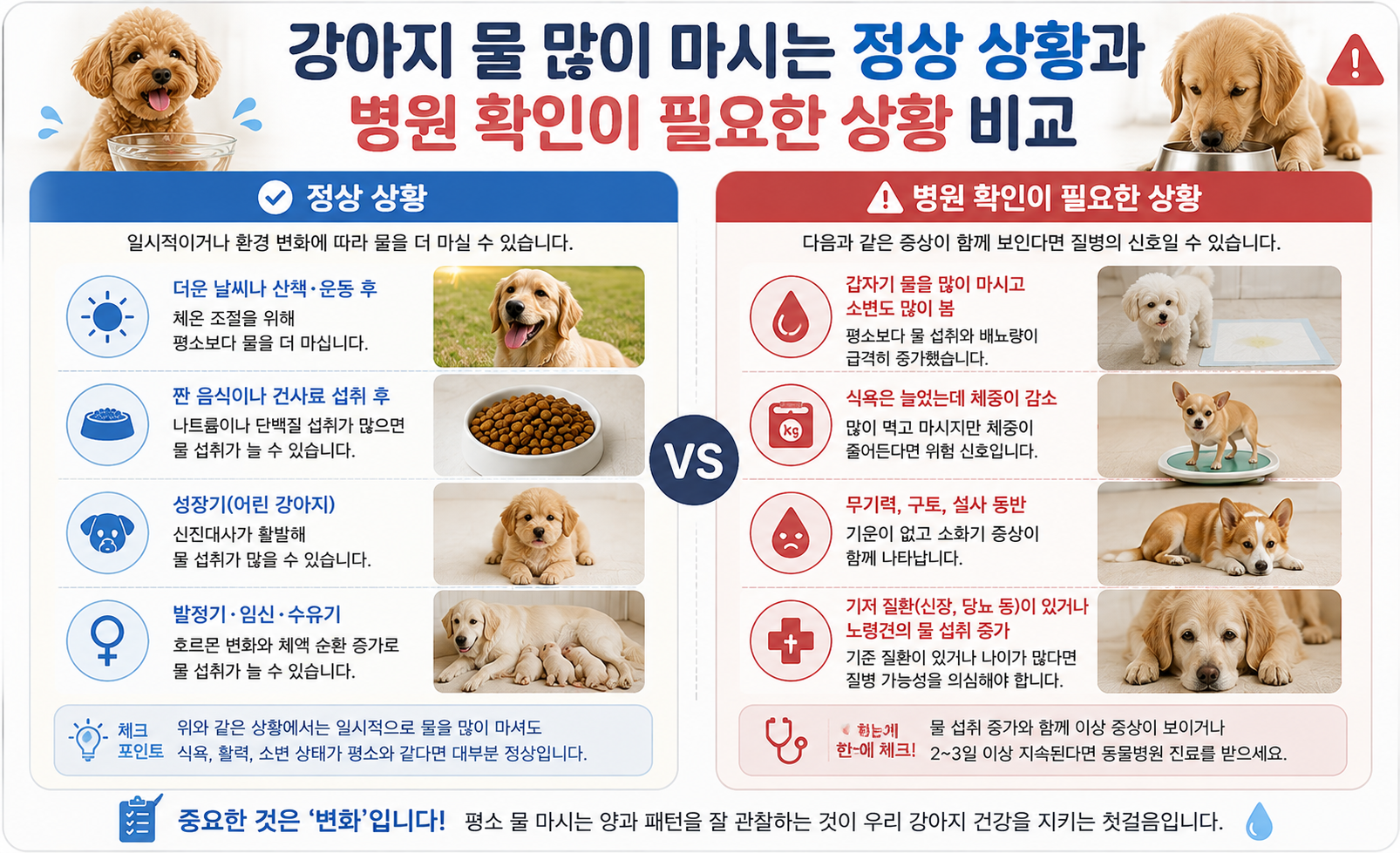 정상적인 상황과 주의해야 할 상황 비교 이미지