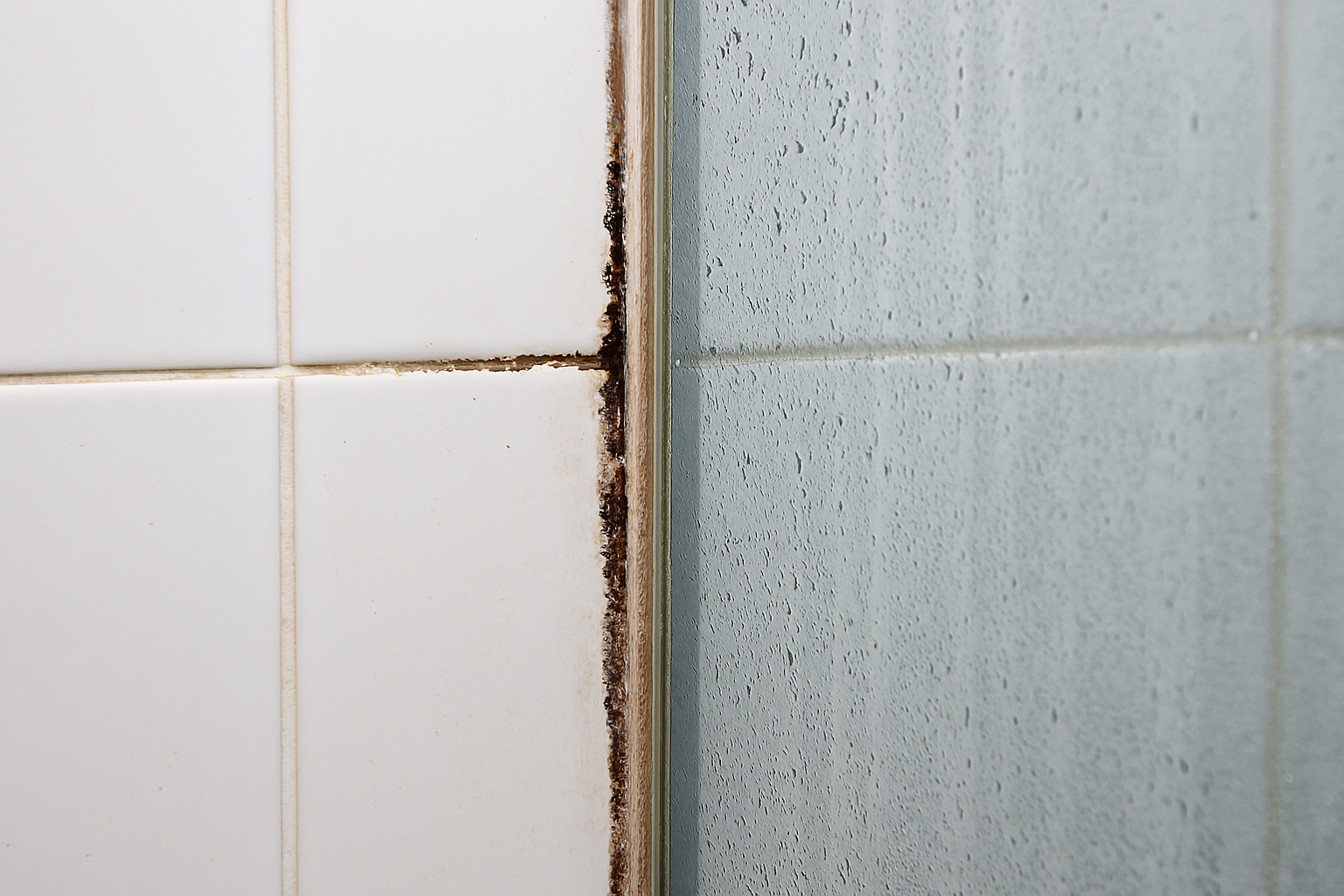 타일 줄눈에 생긴 곰팡이와 유리 벽면 물때의 이미지