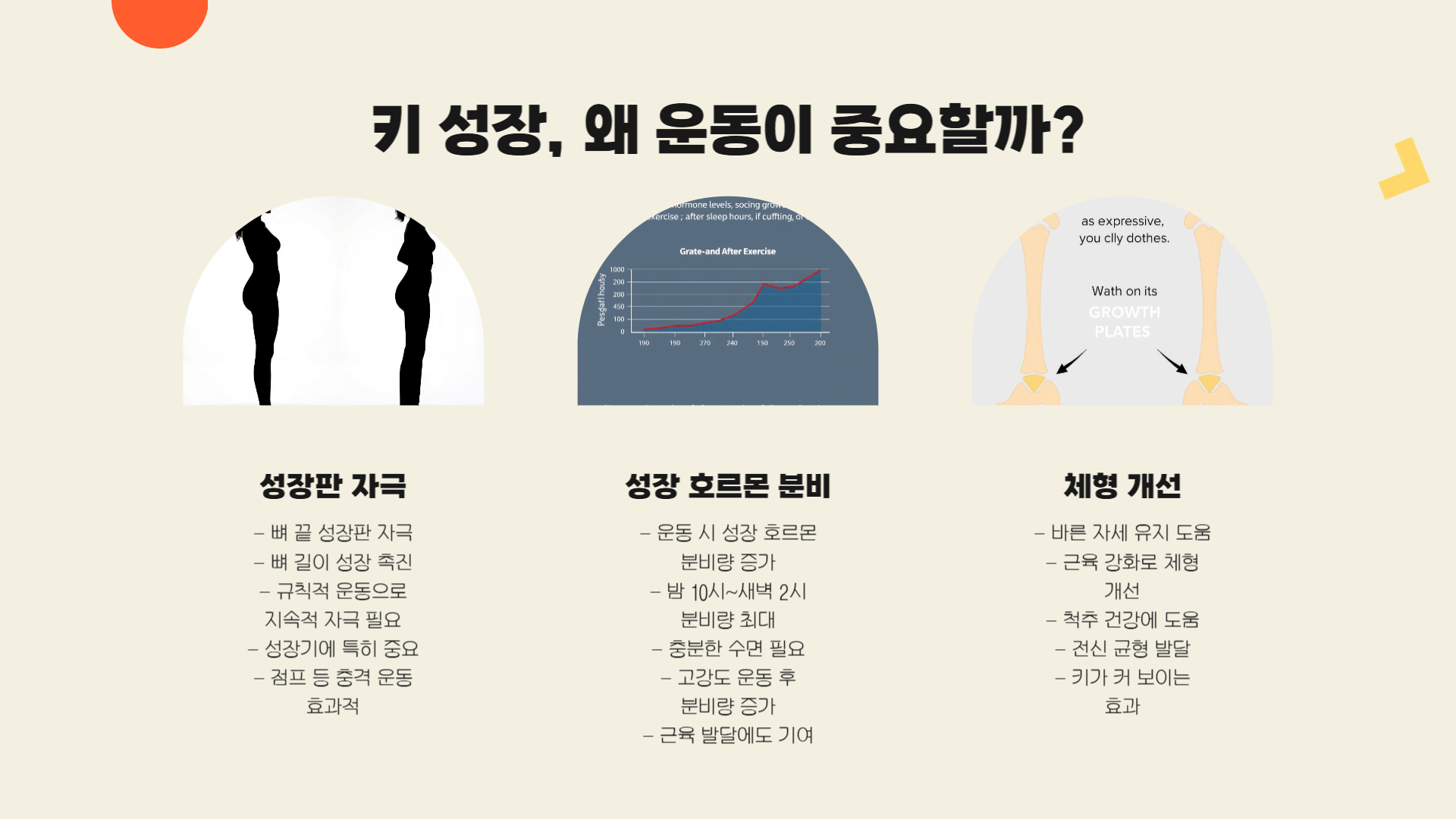 키 크는 데 효과적인 운동