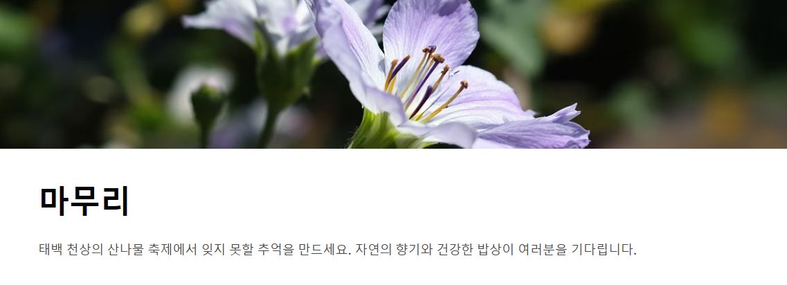 태백 천상의 산나물 축제 - 봄의 향연에 빠져들다