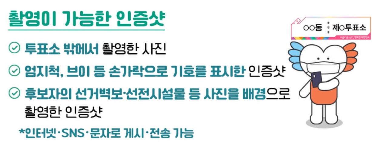 촬영가능 투표 인증샷
