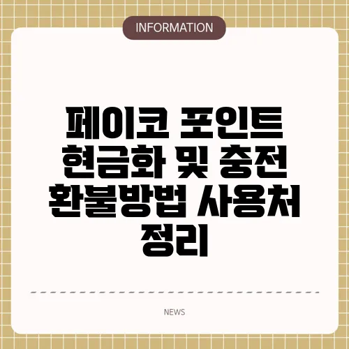 페이코 포인트 현금화 및 충전 환불방법 사용처 정리