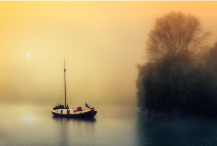 '멍때리기'의 힘: 디지털 없이 생각 비우는 연습법