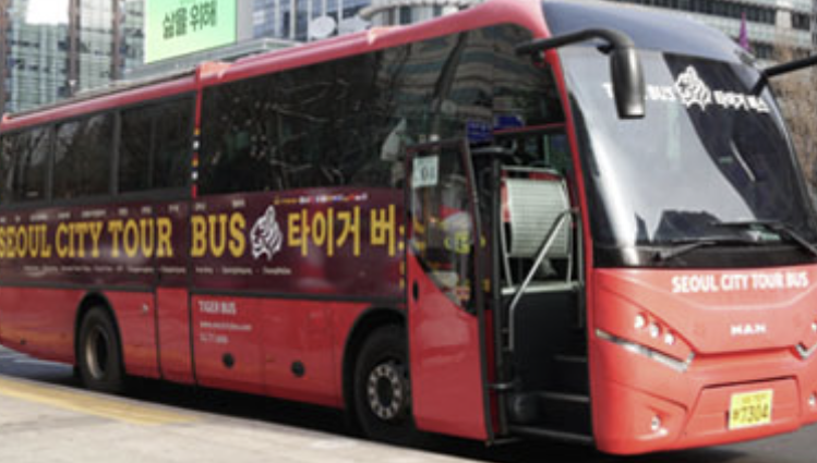 서울 시티투어버스 타이거 예약방법 가격 남산 노선 단풍 야경 꿀팁