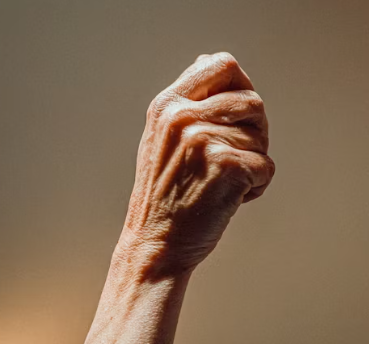 콘드로이친 효능 복용법 시간 부작용