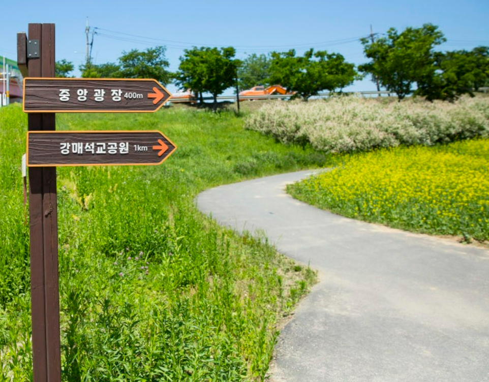 2024 창릉천 유채 꽃 축제 장소 가는길