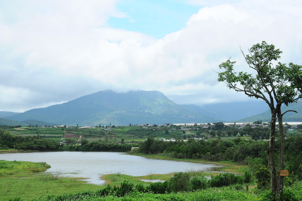 2026년 구리 부동산 정보 관련 사진