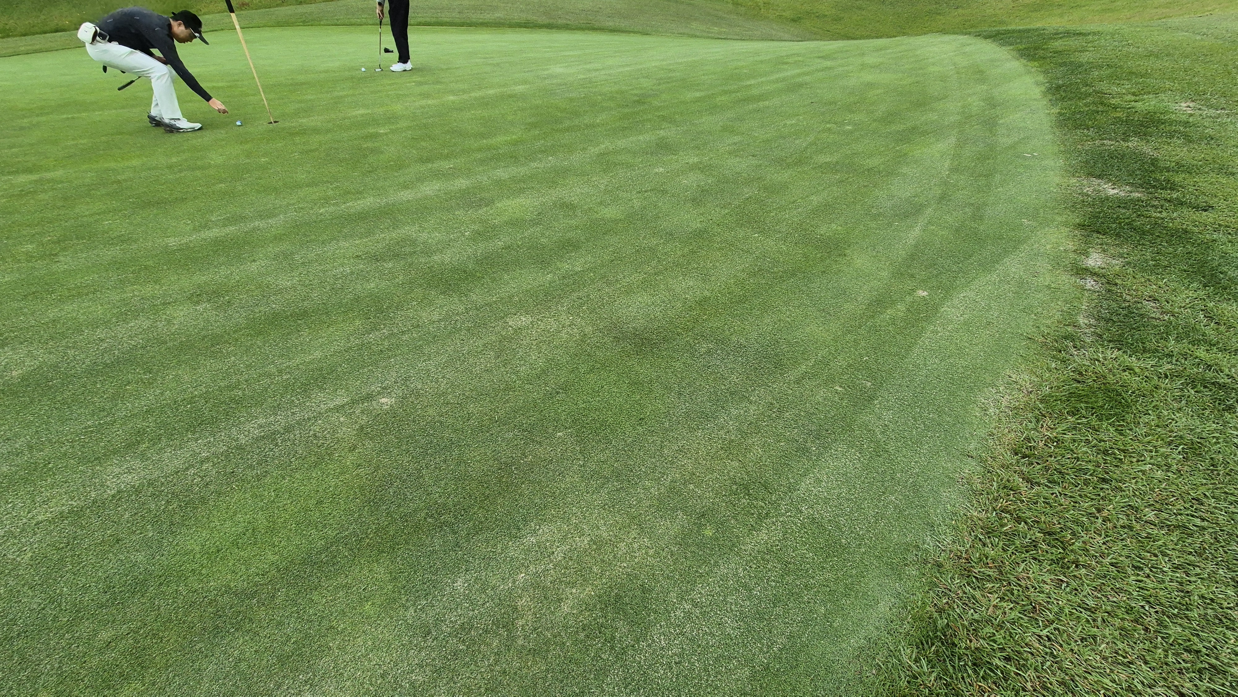 서산수cc 그린 빠르기 및 난이도