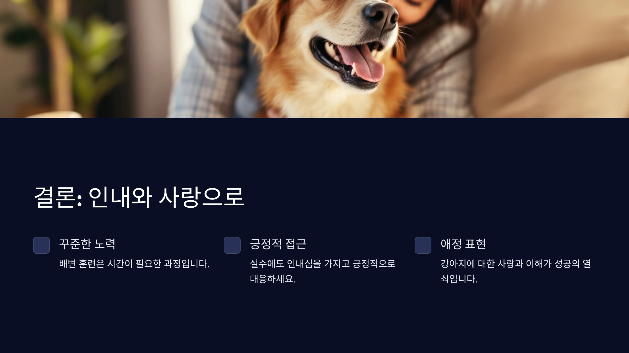 강아지가 배변 실수를 했을 때 대처 방법