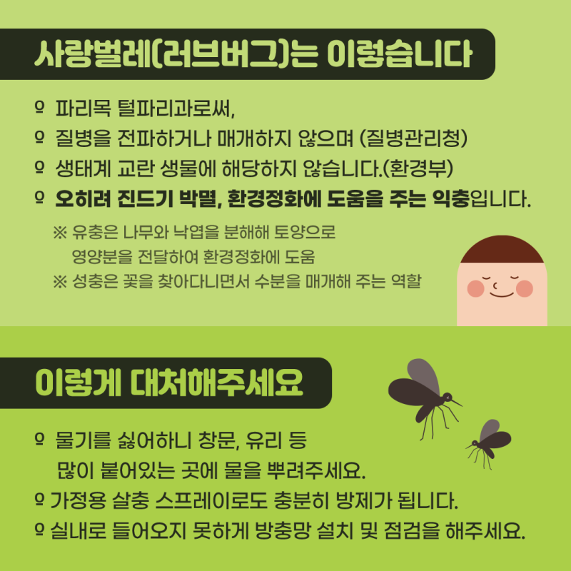 러브버그- 물림후- 대처방법-러브버그- 퇴치법