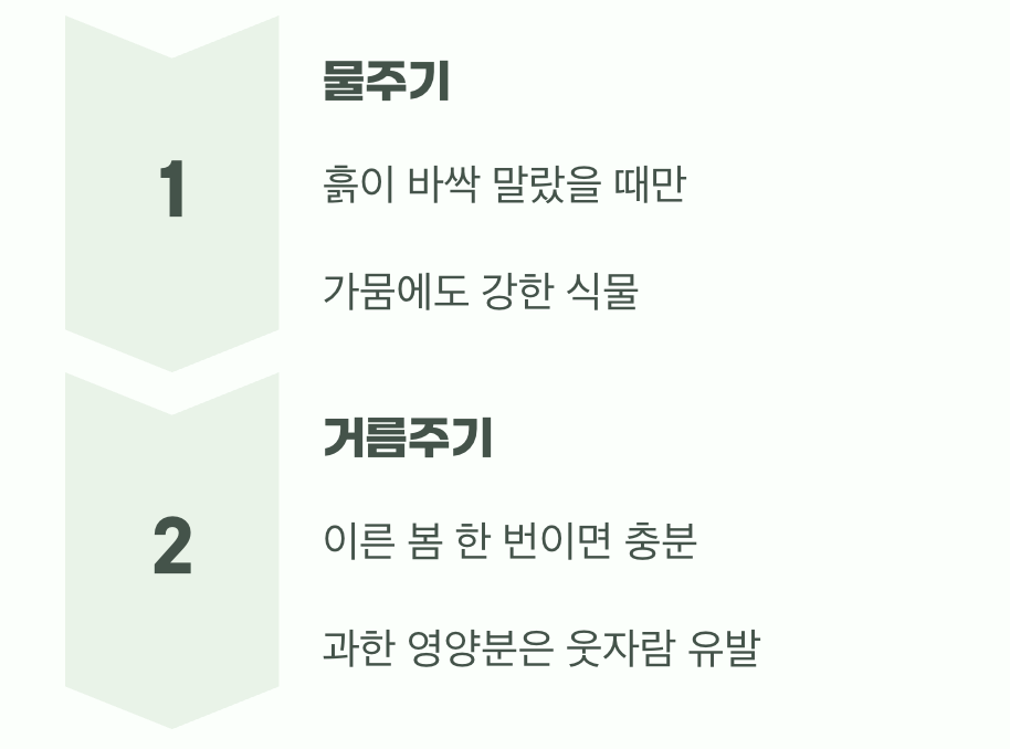 비결 3. 과한 사랑은 금물, '물'과 '거름'