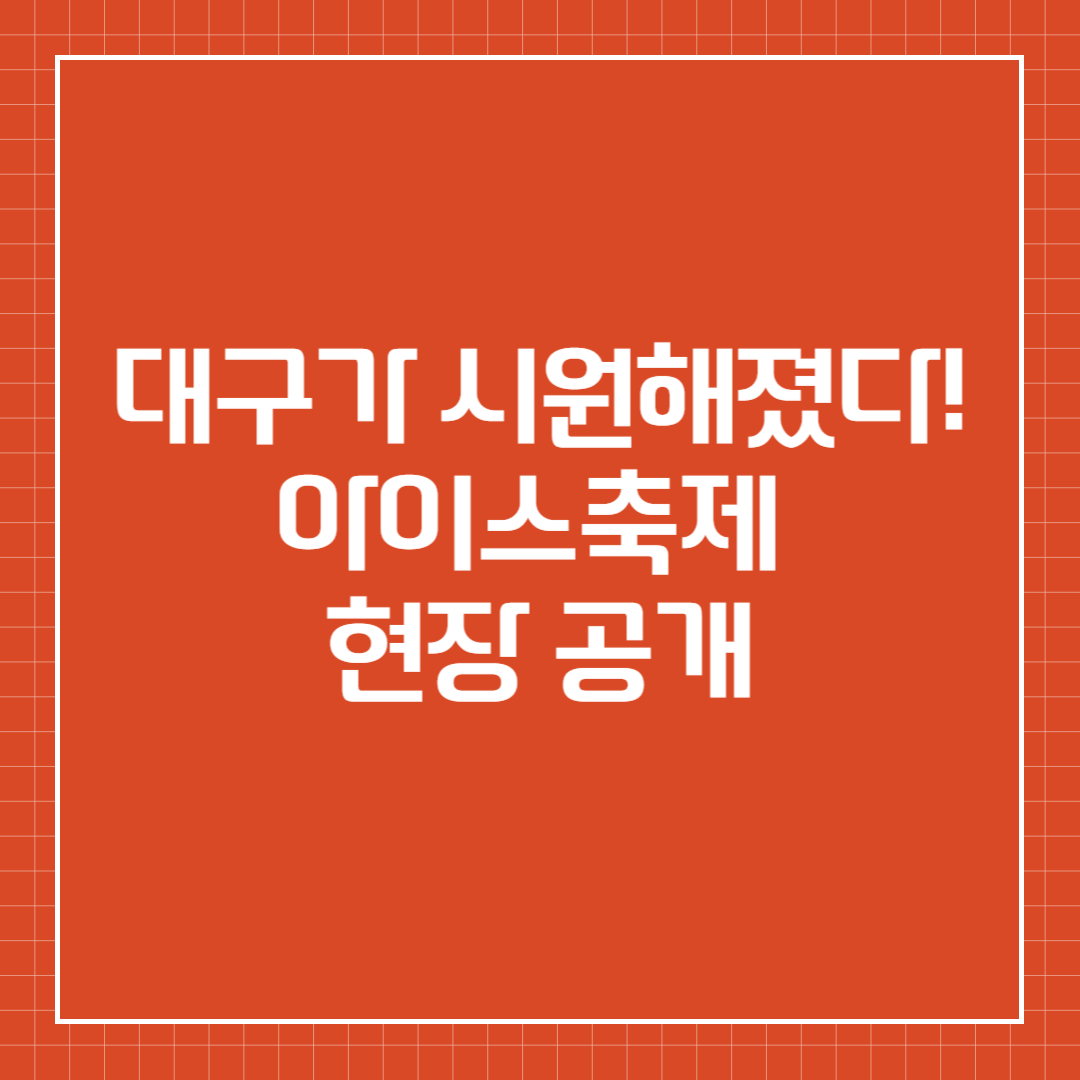 대구가 시원해졌다! 아이스축제 현장 공개