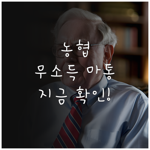 소득 증빙 없는 농협 마이너스통장 신..